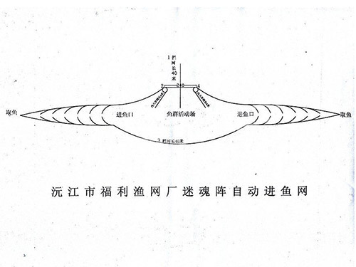 迷魂陣自動進(jìn)魚網(wǎng)